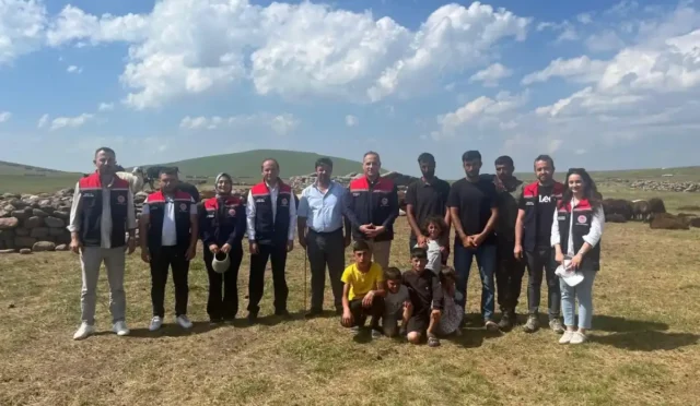 Kars'ın Digor ilçesindeki yaylalarda veteriner hekimlerin hayvanlara sağlık taraması yaparken çekilmiş genel plan fotoğrafı.