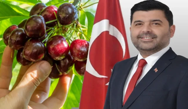 Uluborlu'da suluk kiraz üreticilerine kilogram başına 28 TL alım garantisi müjdesi
