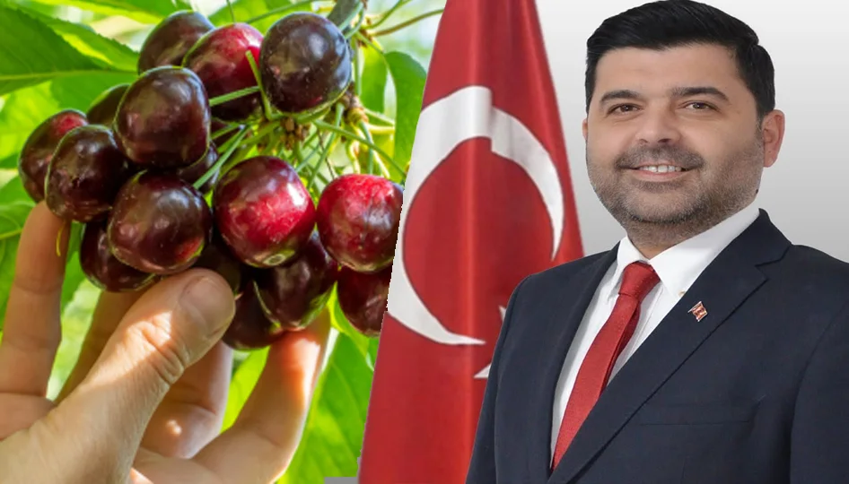 Uluborlu Kiraz Üreticileri İçin Müjde: Suluk Kiraza Kilogram Başına 28 TL Alım Garantisi