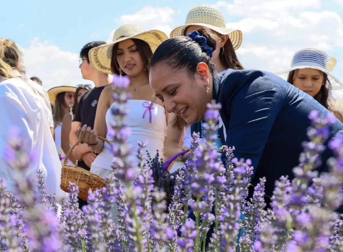 Burdur’da Mor Rüyası: 2. Lavanta Hasat ve Sanat Günleri Büyüledi