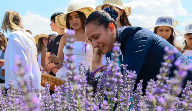 Burdur'da düzenlenen Lavanta Hasat ve Sanat Günleri'nde mor lavanta tarlaları ve katılımcılar