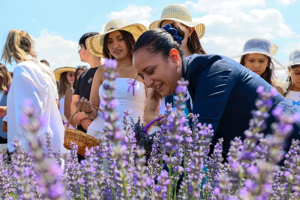 Burdur’da Lavanta Hasat ve Sanat Günleri Muhteşem Bir Kapanışla Sona Erdi: Doğanın Büyüsü Keşfedildi
