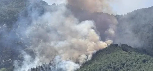 Antalya Kepez'deki ormanlık alanda çıkan yangın söndürme çalışmaları