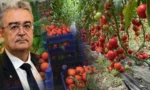 Burdur Ticaret Borsası Başkanı Ömer Faruk Gündüzalp, Tefenni domates üreticilerine destek çağrısı yaptı.