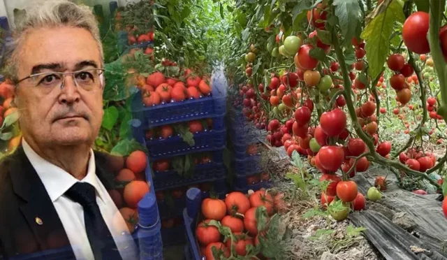 Burdur Ticaret Borsası Başkanı Ömer Faruk Gündüzalp, Tefenni domates üreticilerine destek çağrısı yaptı.