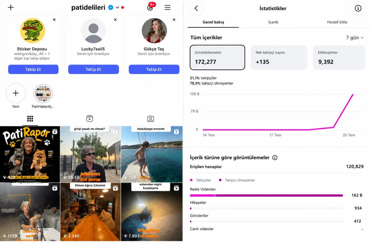 Restoranını Patili Dostlara Açtı: “Patidelileri” Instagram’da 3 Günde 250 Bin İzlenmeye Ulaştı