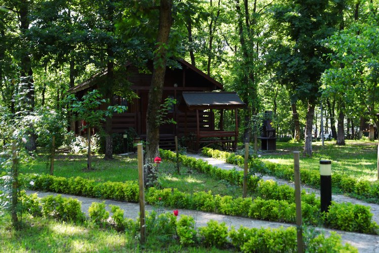 Sakarya’nın oksijen deposuna ziyaretçi akını