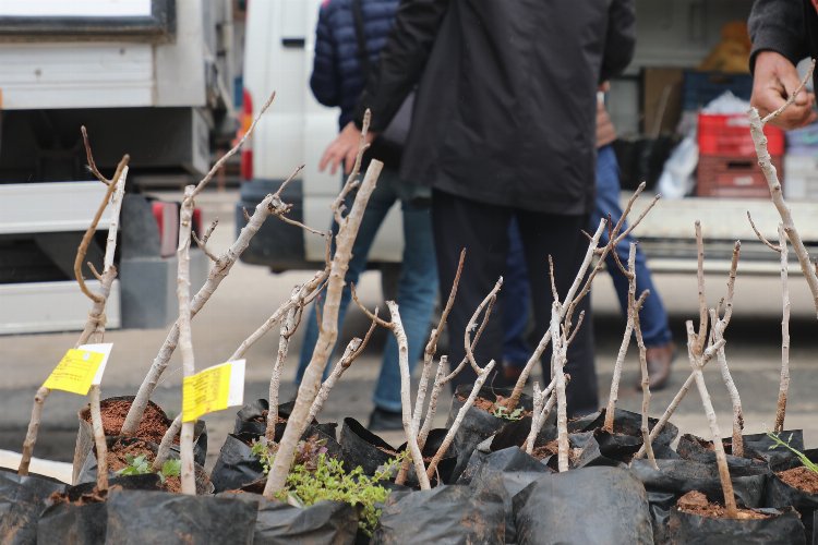 Konya’da kırsala ‘Antep Fıstığı’ desteği