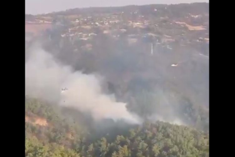 Çanakkale’deki yangında son durum… Çanakkele’de tedbir amaçlı kara ve deniz ulaşımı kapalı