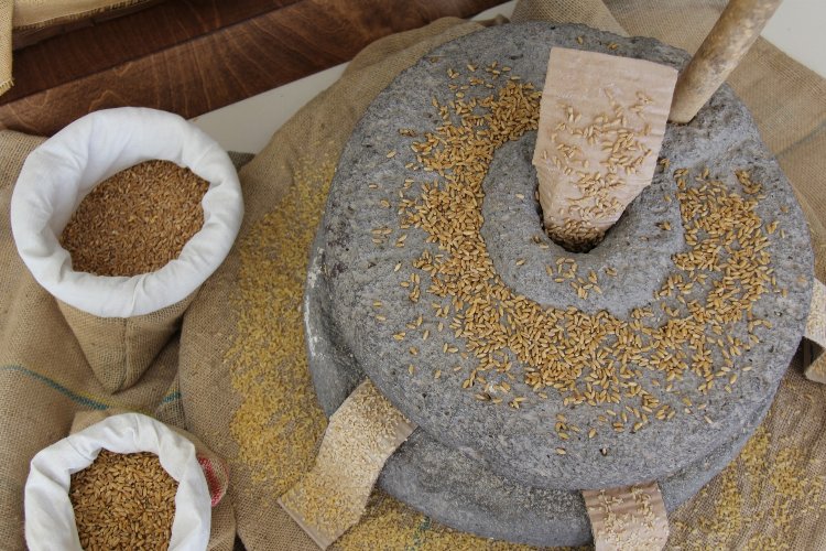 Dünyada ve Türkiye’de tek… Otoklav sistem sadece bu bulgurda kullanılıyor