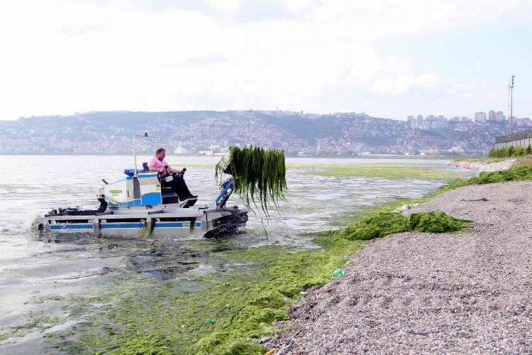 Dere, deniz ve kıyılardan 49 kamyon katı atık