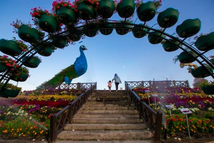 Konya Selçuklu Çiçek Bahçesi’nde en iyi kareler belli oldu