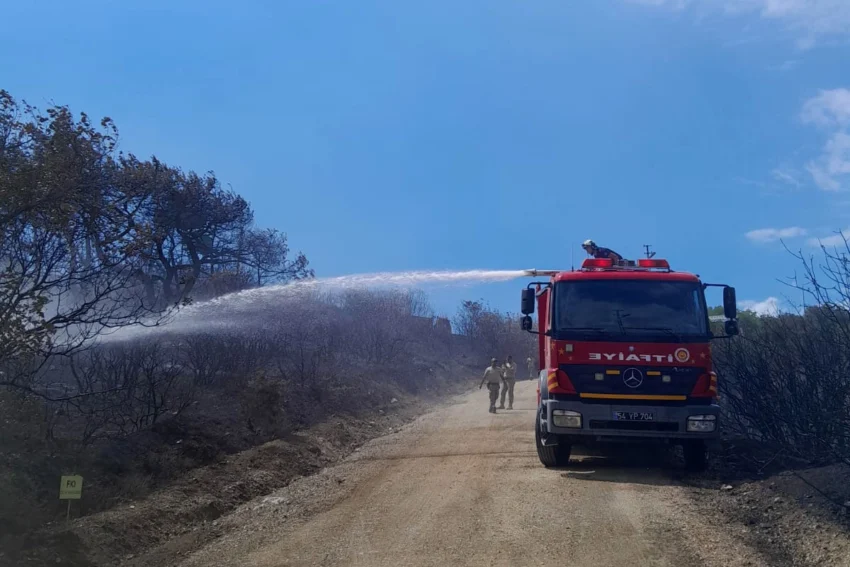 Sakarya’dan yangına müdahale açıklaması