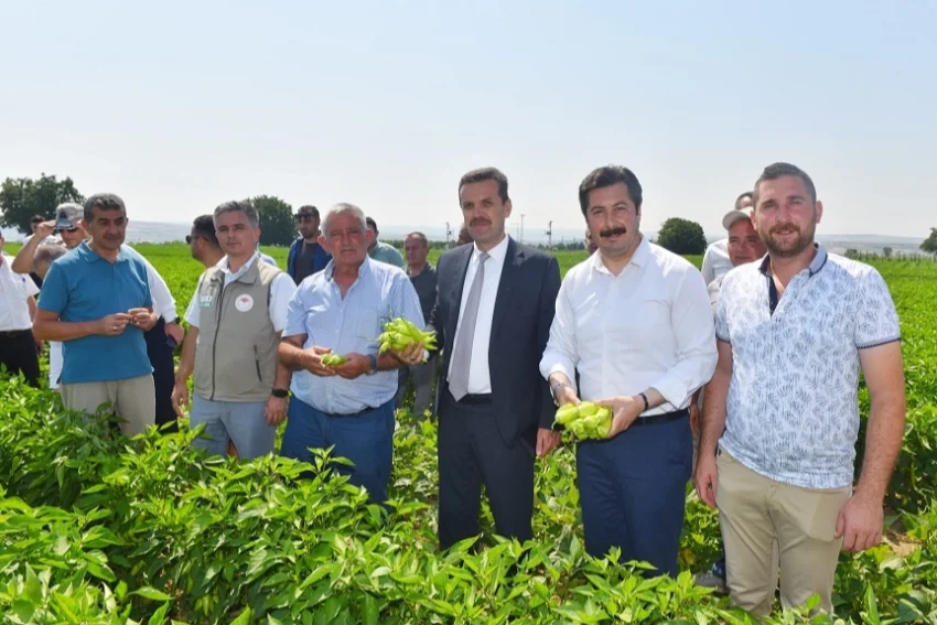 Yenişehir Biberi’nin marka değeri artacak