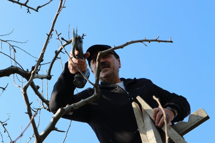 Gürsu’nun tarımına ‘bağımsız’ vizyon getirecek… Şefikoğlu’nun vizyonsal tarım projeleri