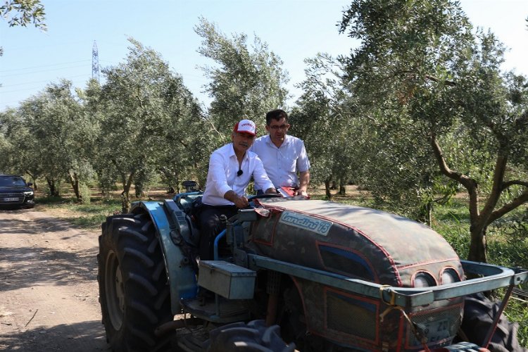 Bursa Gemlik’te zeytin ağaçları suya kavuştu