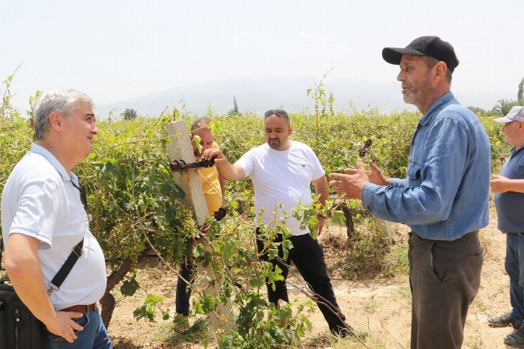 Manisa Meclisi’nden hasar gören üreticilere destek