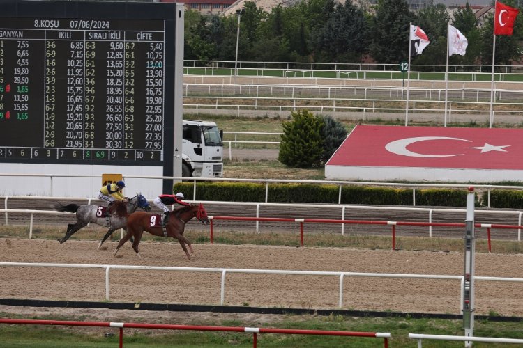 TJK’nın Nilüfer koşusunu ‘Kardeşcan’ kazandı