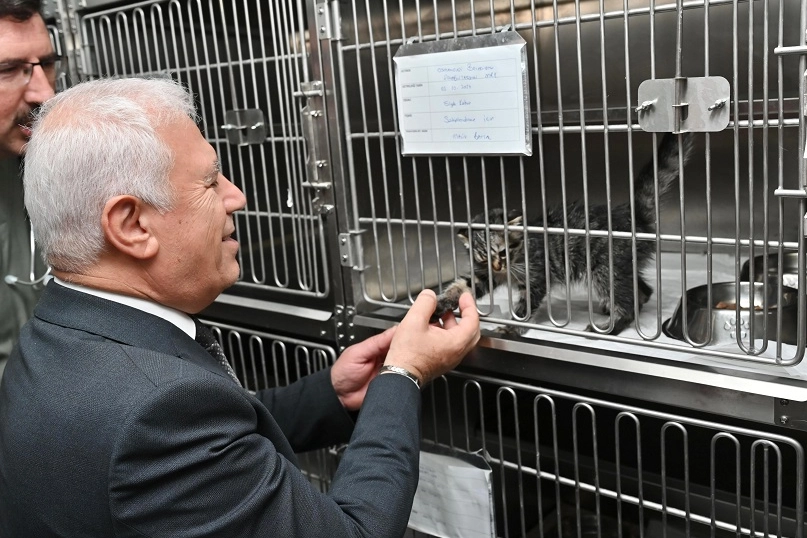 Bursa Büyükşehir’den ‘yuvanız yuvası olsun’ projesi