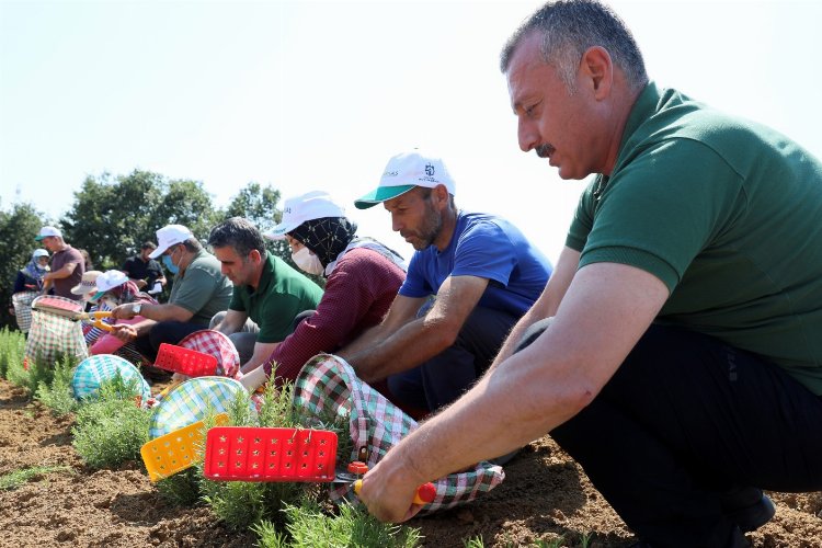 Kocaeli’den tarıma 236 milyon TL destek