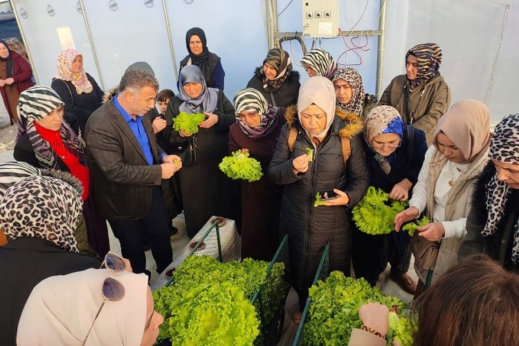 Kocaeli’nde topraksız tarıma kadın çiftçilerden yoğun ilgi