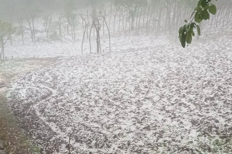 Düzce’de dolu yağışı hayatı olumsuz etkiledi