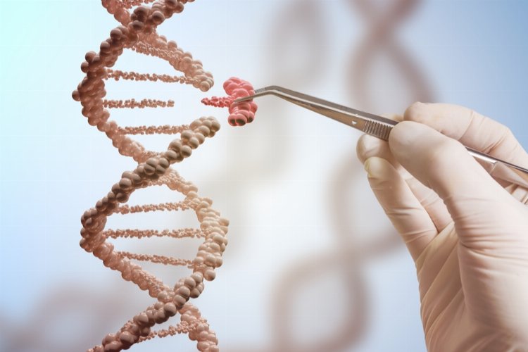 ‘Genom Çağı’na az kaldı!