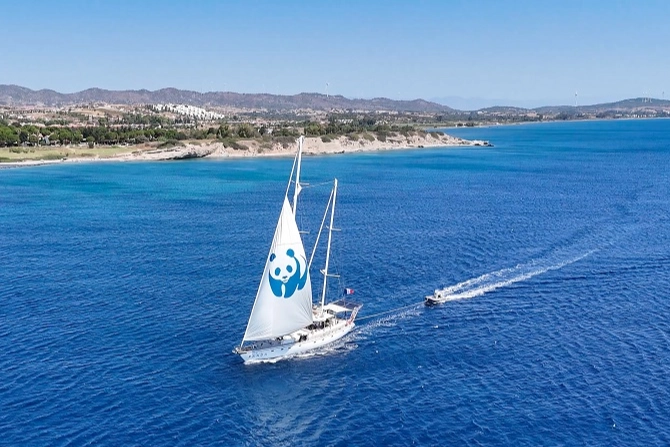 ‘Blue Panda’ Mavi Ormanlar için Türkiye’de