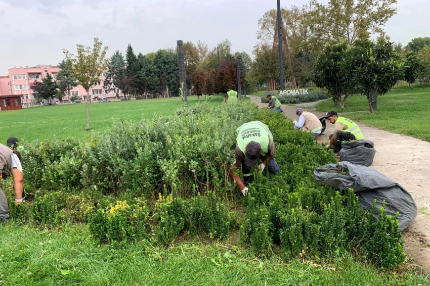 Sakarya’da şehrin dört bir yanına sonbahar dokunuşu