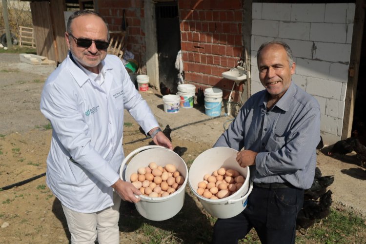 Kocaeli’de çiftçinin yüzü gülüyor