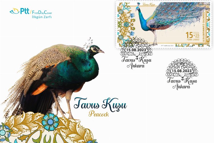 PTT’den ‘tavus kuşu’