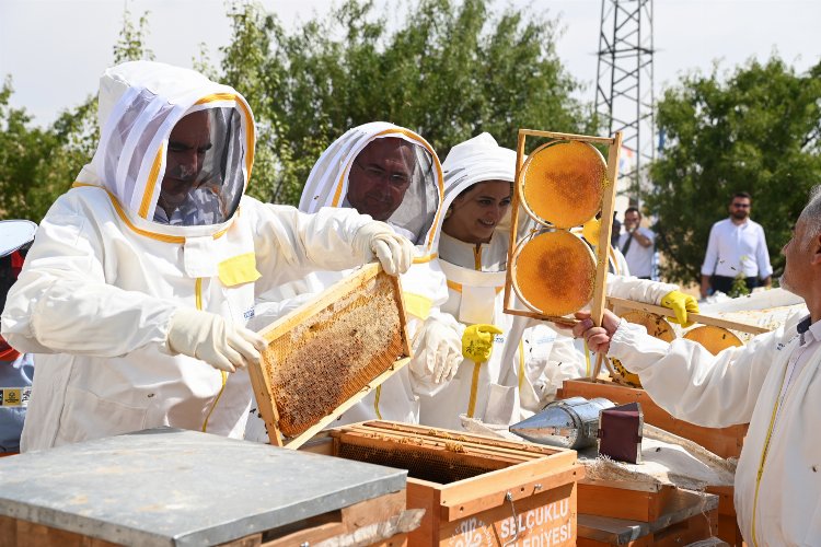 Konya Selçuklu’da ilk hasat yapıldı… 1 ton bal bekleniyor