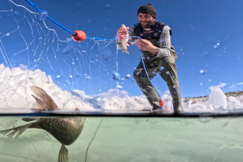 FAO’dan Türkiye’ye 4. kez ‘tam uyum’ ödülü