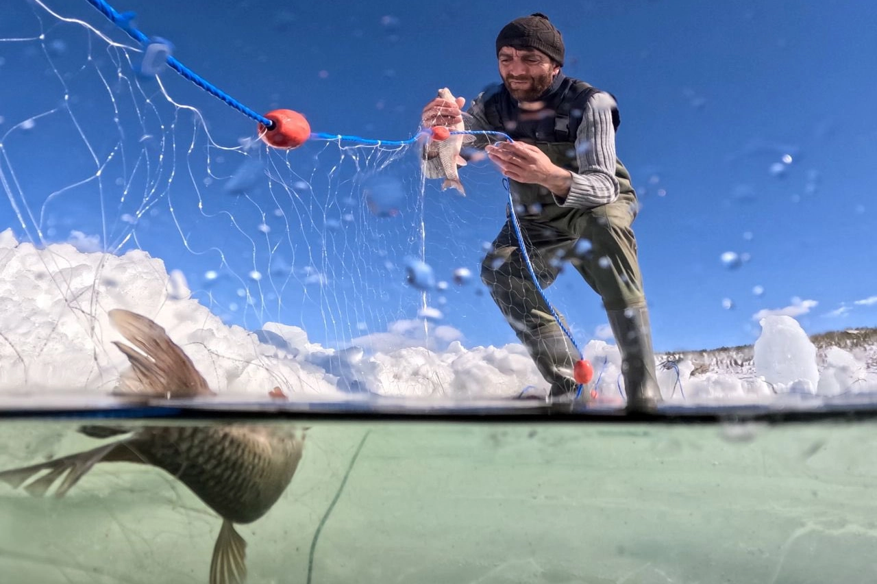 FAO’dan Türkiye’ye 4. kez ‘tam uyum’ ödülü