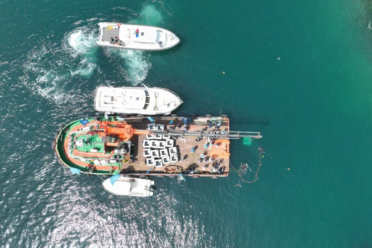 Kocaeli’de balıkçılığa yapay resif desteği… İlk resifler bırakıldı