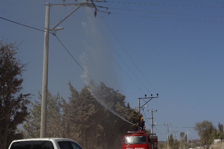 Bandırma’da elektrik hatlarında itfaiye destekli temizlik