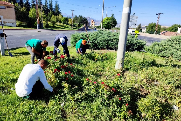 Kayseri Büyükşehir’den yabani otlarla sıkı mücadele