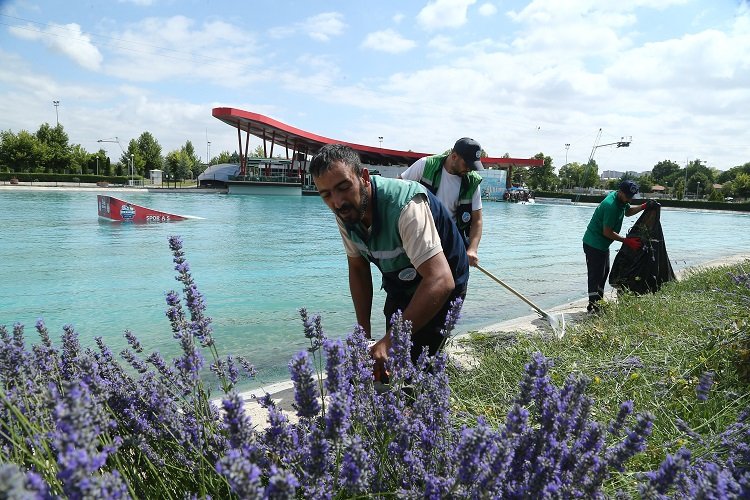 Kayseri’de 160 bin lavantanın hasadına başladı