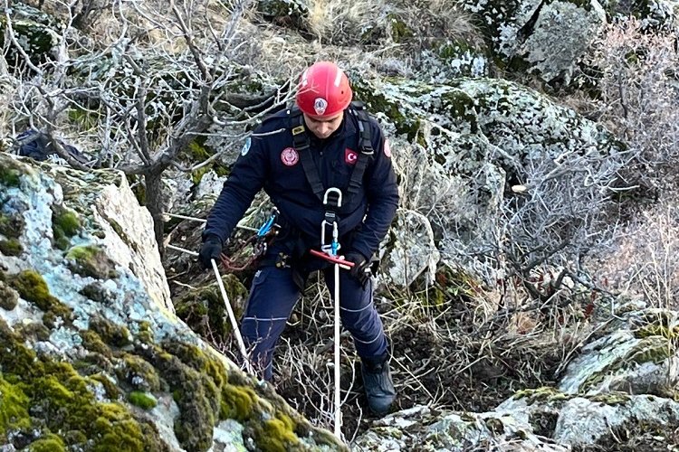 Kayseri Büyükşehir’den ‘keçi’ operasyonu