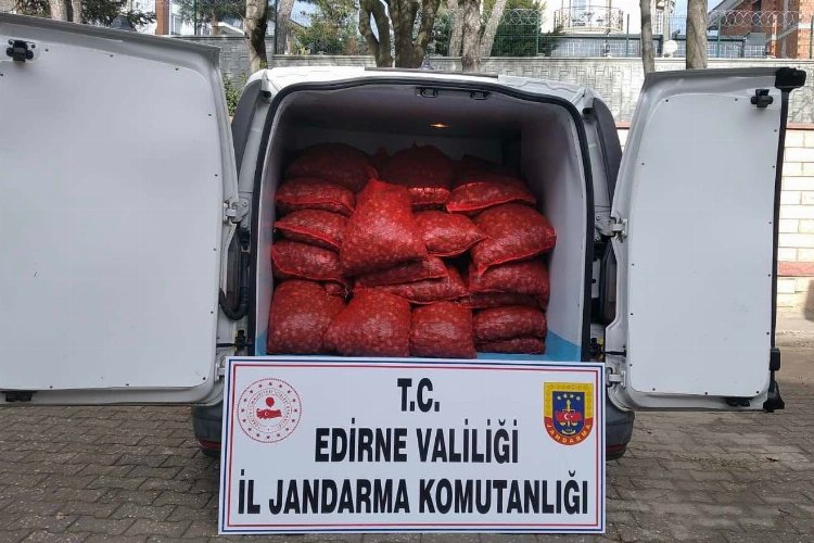 Edirne’de 1 ton kaçak kum midyesi!