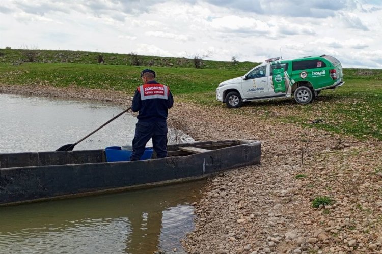 Edirne’de Jandarma’dan balık avına karşı tedbir