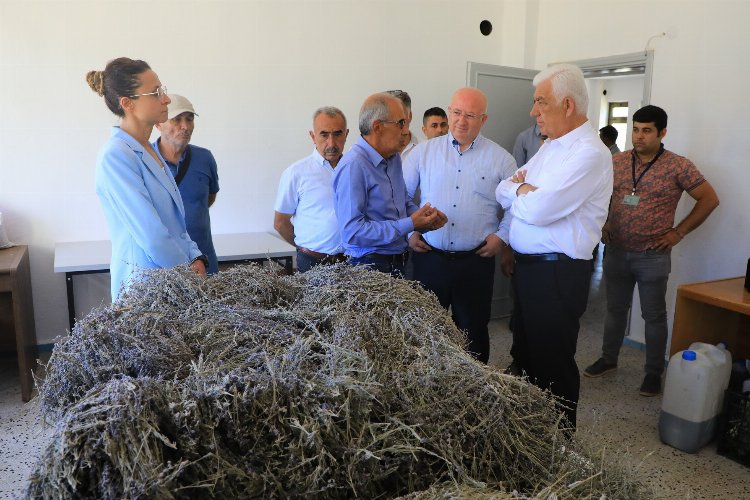 Muğla’da ‘tarımsal güçbirliği’ üreticiye kazandırıyor