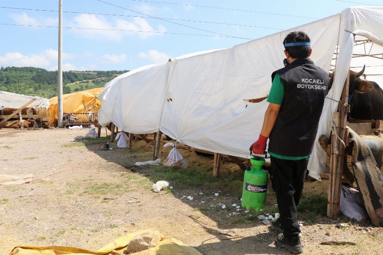 Kocaeli’de öncelik insan sağlığı