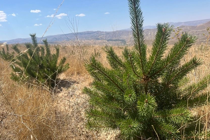 ÇEKÜL’den yeni orman alanlarına saha incelemesi