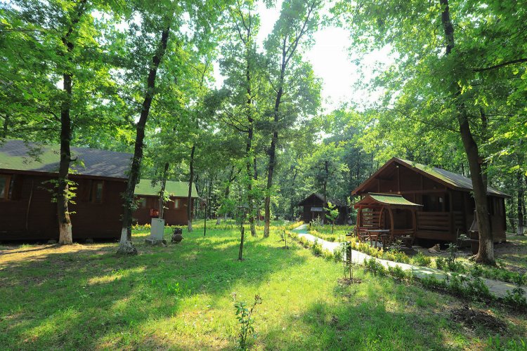 Sakarya’nın orman evleri hayran bıraktı