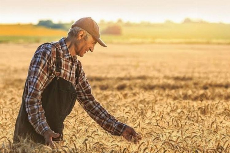 Tarımsal girdiler artışta… Veteriner harcamaları revaçta