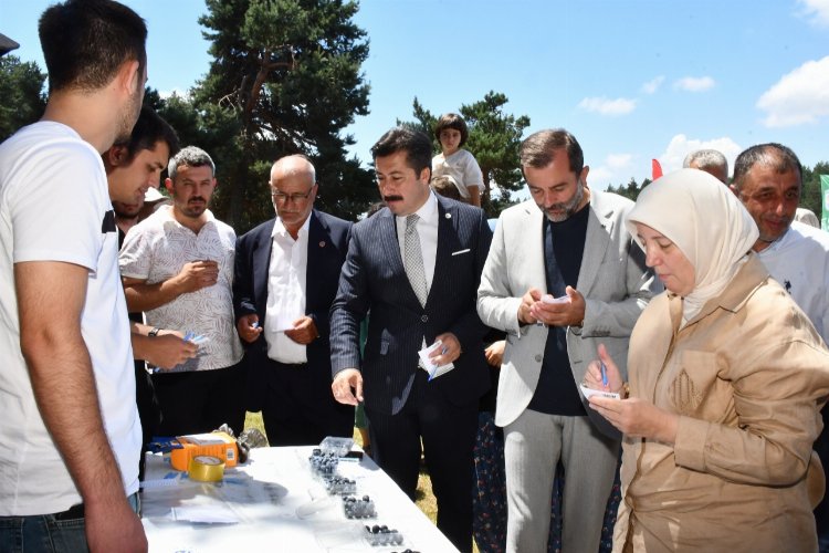 Bursa İznik’te ‘maviyemiş’ ilgisi