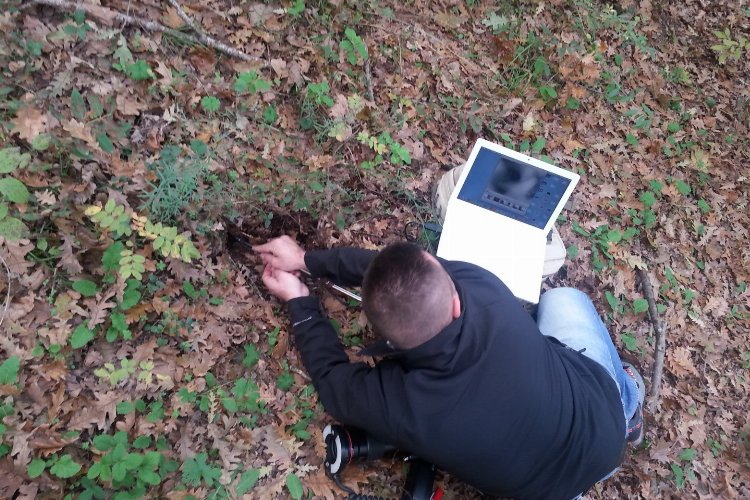 Yaban Hayatı Derneği: “Soruşturmanın takipçisi olacağız”